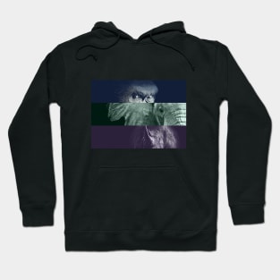 Vegan Herbivore Gorilla Elephant Rhino Collage Hoodie